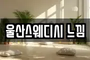 울산스웨디시 느낌