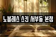 노블레스 스킨 서부동 본점