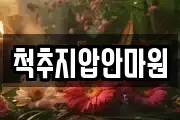 척추지압안마원