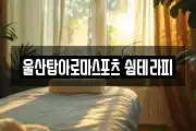 울산탑아로마스포츠 쉼테라피