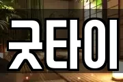 굿타이