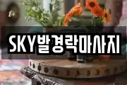 SKY발경락마사지