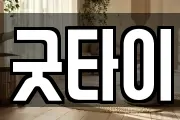 굿타이