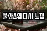 울산스웨디시 느낌