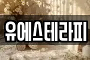 유에스테라피