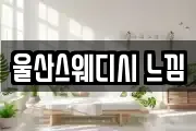 울산스웨디시 느낌