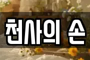 천사의 손