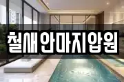 철새안마지압원