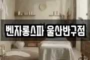 벤자롱스파 울산반구점