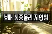 보배 통증물리 지압원