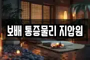 보배 통증물리 지압원