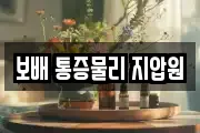 보배 통증물리 지압원