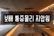 보배 통증물리 지압원