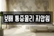 보배 통증물리 지압원