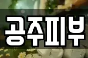 공주피부