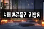 보배 통증물리 지압원