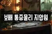보배 통증물리 지압원