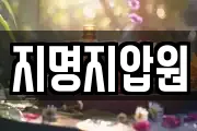 지명지압원