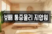 보배 통증물리 지압원