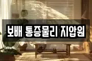 보배 통증물리 지압원