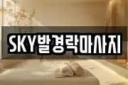 울산광역시 중구 마사지, 지압등 업체정보