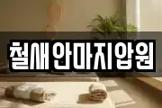 철새안마지압원