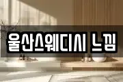 울산스웨디시 느낌