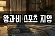 왕과비 스포츠 지압