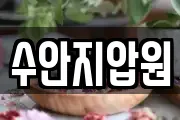 수안지압원