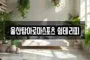 울산탑아로마스포츠 쉼테라피