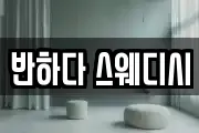반하다 스웨디시
