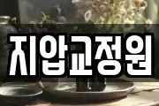 지압교정원
