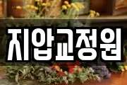 지압교정원