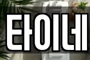 타이네