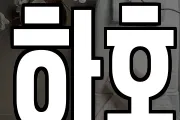 하호