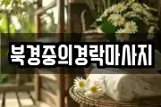 북경중의경락마사지