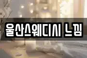 울산스웨디시 느낌