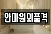 안마원의품격
