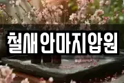 철새안마지압원