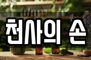 천사의 손
