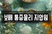 보배 통증물리 지압원