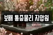 보배 통증물리 지압원