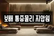 보배 통증물리 지압원