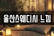 울산스웨디시 느낌