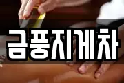 금풍지게차
