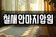 철새안마지압원