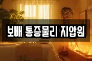 보배 통증물리 지압원