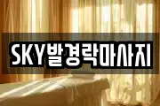 울산 중구 마사지, 지압등 업체정보