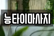 인천광역시 강화군 마사지, 지압등 업체정보