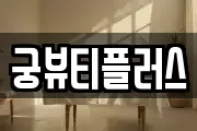 궁뷰티플러스